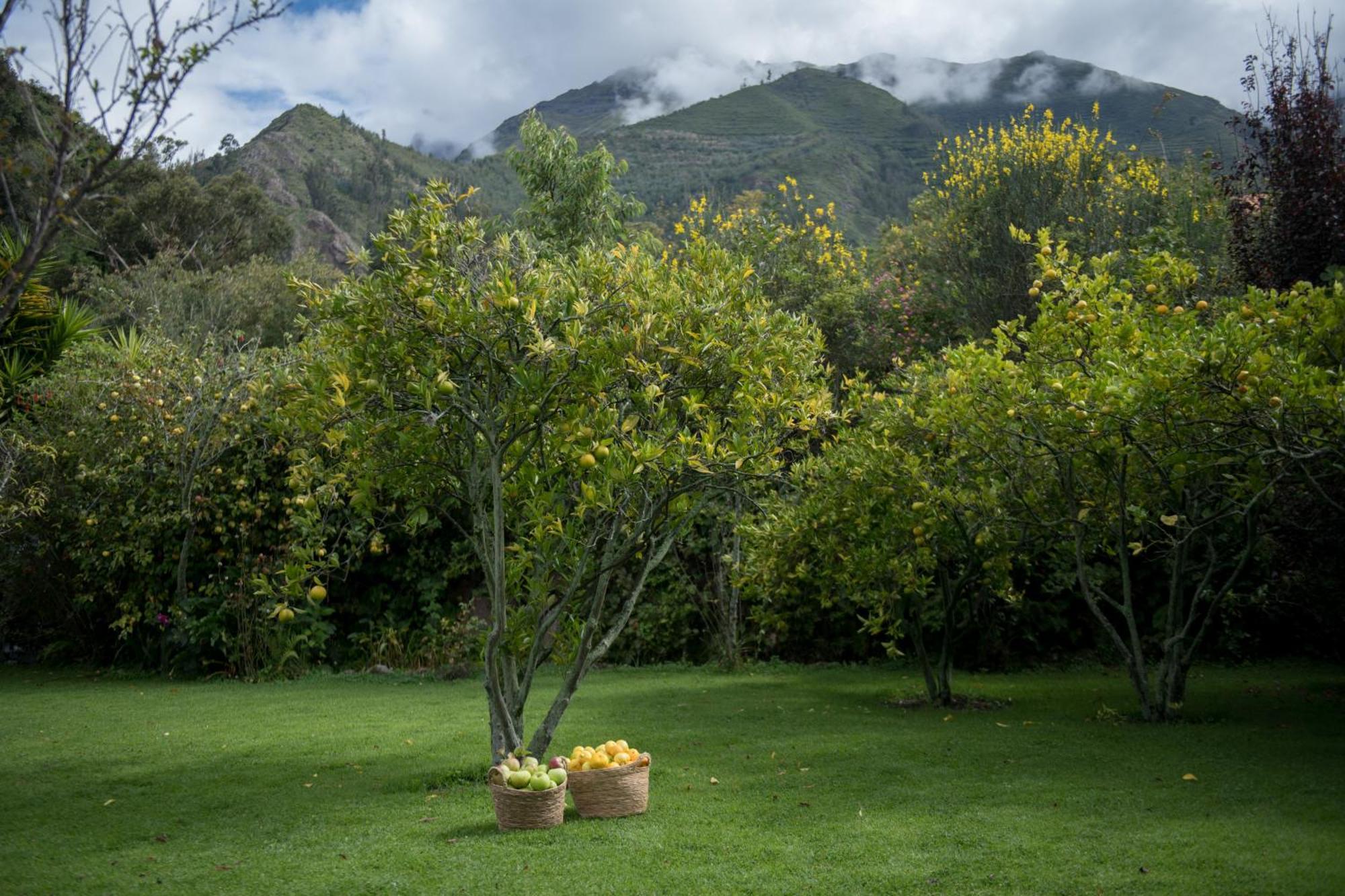 Andenia Boutique Hotel, Sacred Valley Урубамба Экстерьер фото